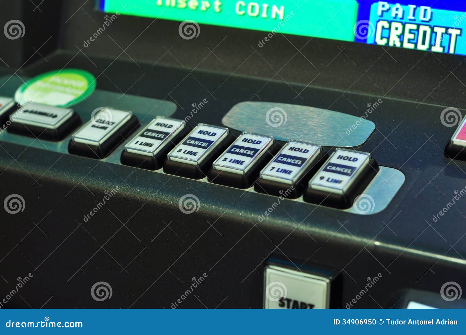 bCasino online casino